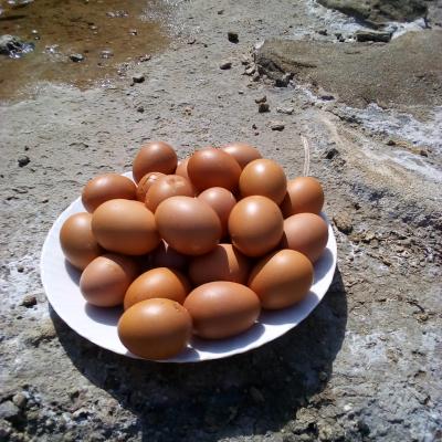 Img 20180110 222145