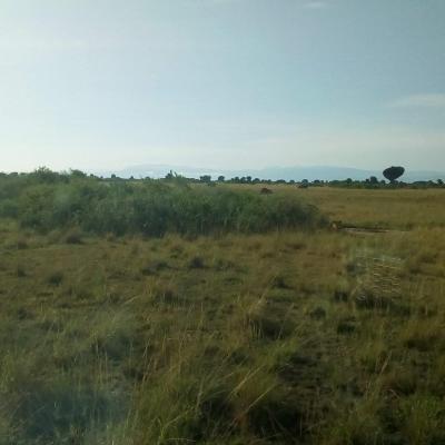 Img 20190529 Wa0003